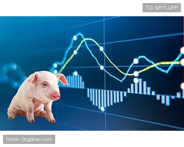 西甲各队晋级概率与竞争格局分析指出 赛程压力成关键变量